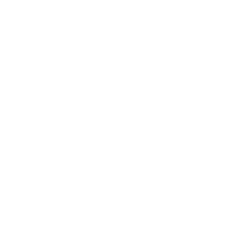 Trade Republic Logo
