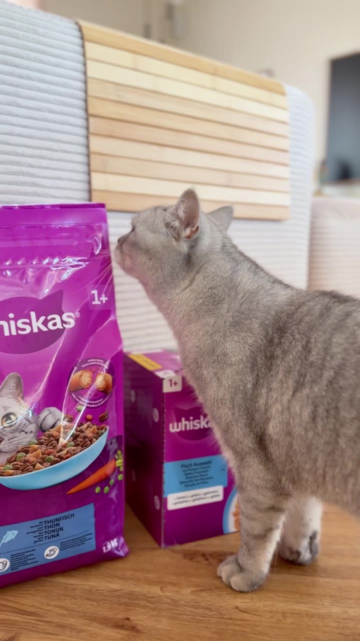 Whiskas Reel